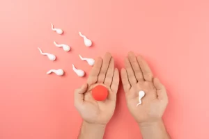 Espermatozoides e óvulo em mãos